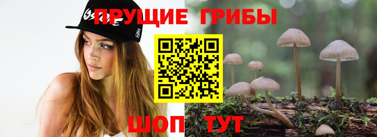 Псилоцибиновые грибы мицелий  Вход с VPN  Псилоцибиновые грибы Psilocybe  Ессентуки 